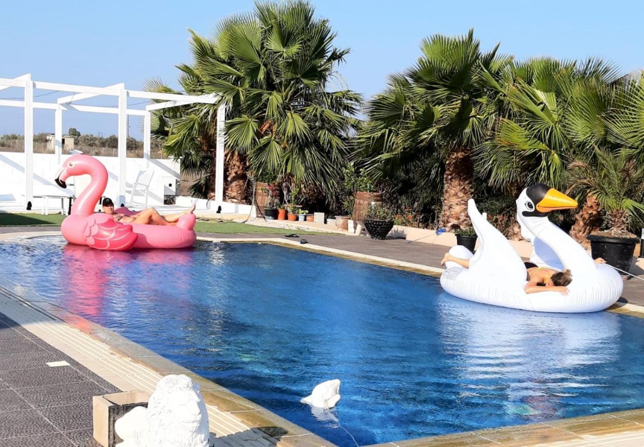 The Pervoli Studio - Pool - Close To Beach Larnaca Exterior photo